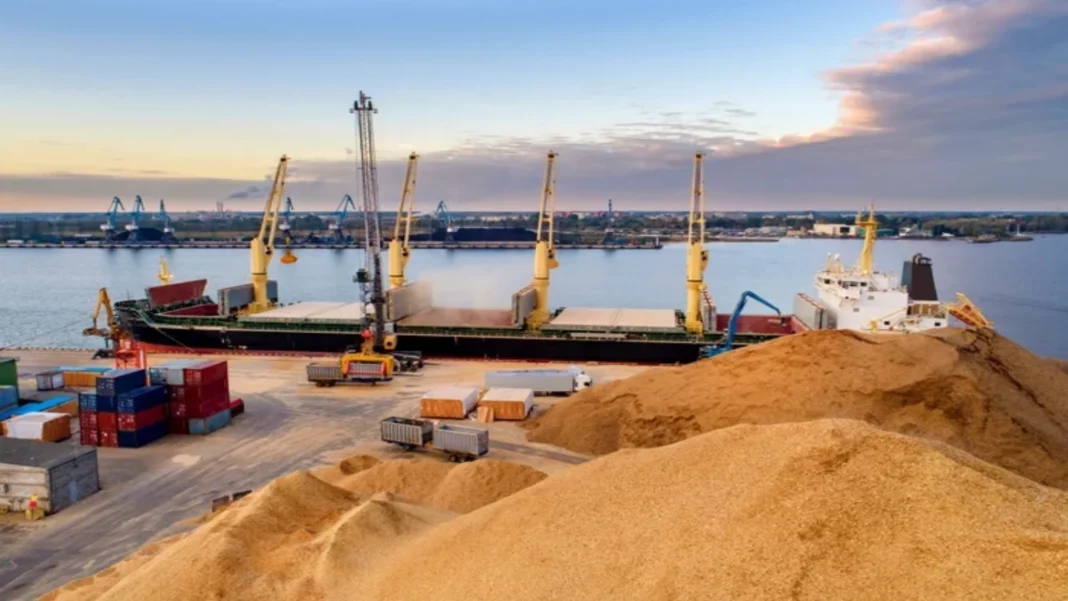 România, Lider European la Exporturile de Grâu