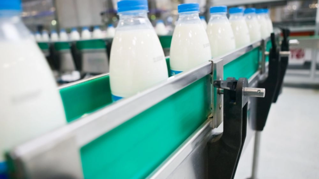 Scăderea producției de lapte în Europa