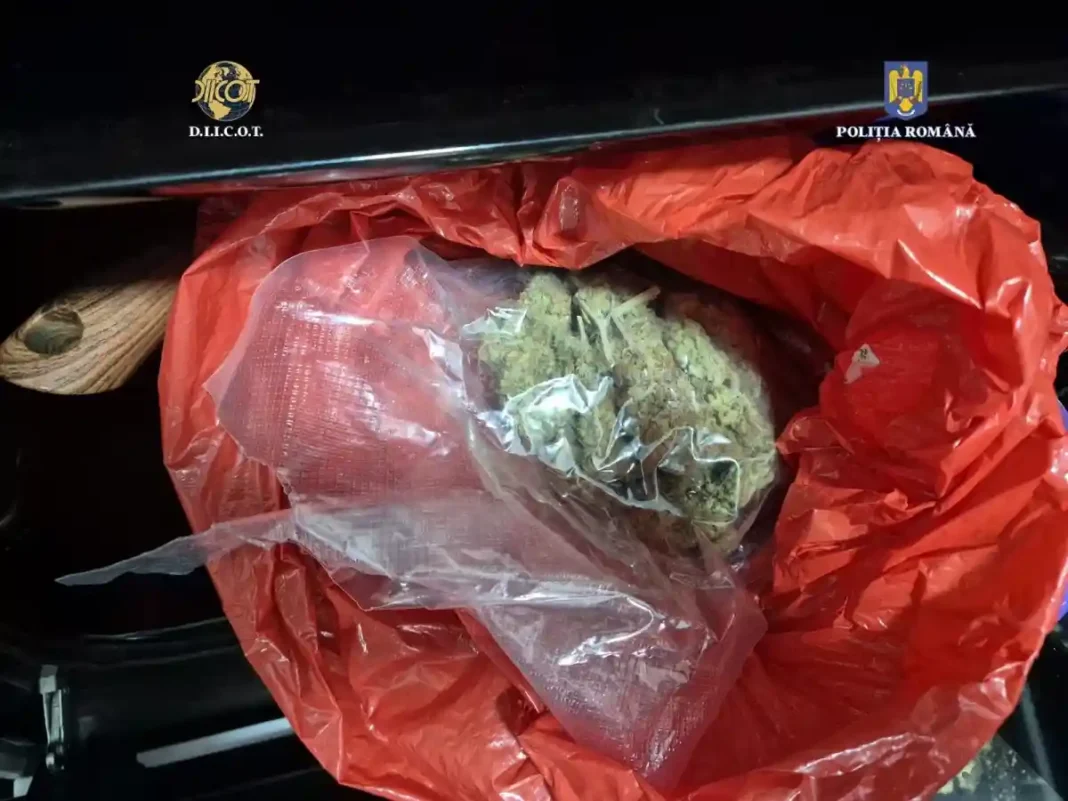 Tânăr eliberat de acuzații de droguri: decizie DIICOT